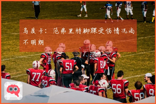 乌度卡：范弗里特脚踝受伤情况尚不明朗