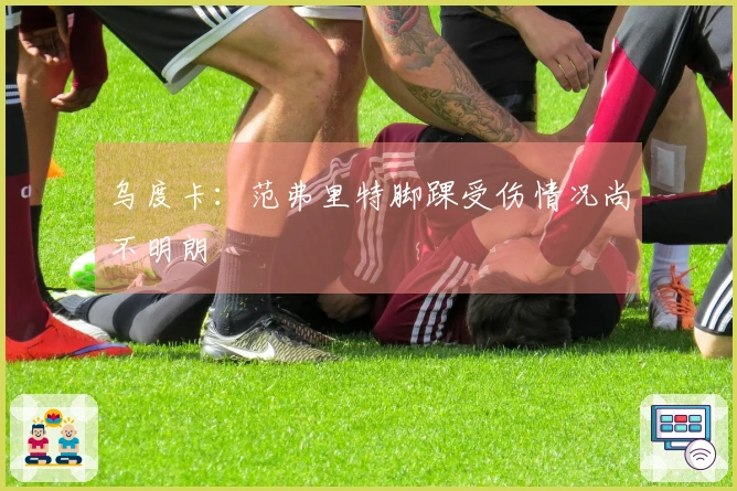 乌度卡：范弗里特脚踝受伤情况尚不明朗