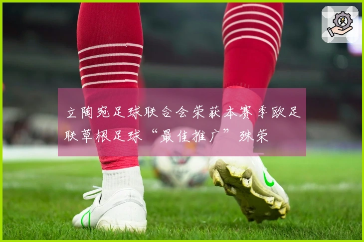 立陶宛足球联合会荣获本赛季欧足联草根足球“最佳推广”殊荣